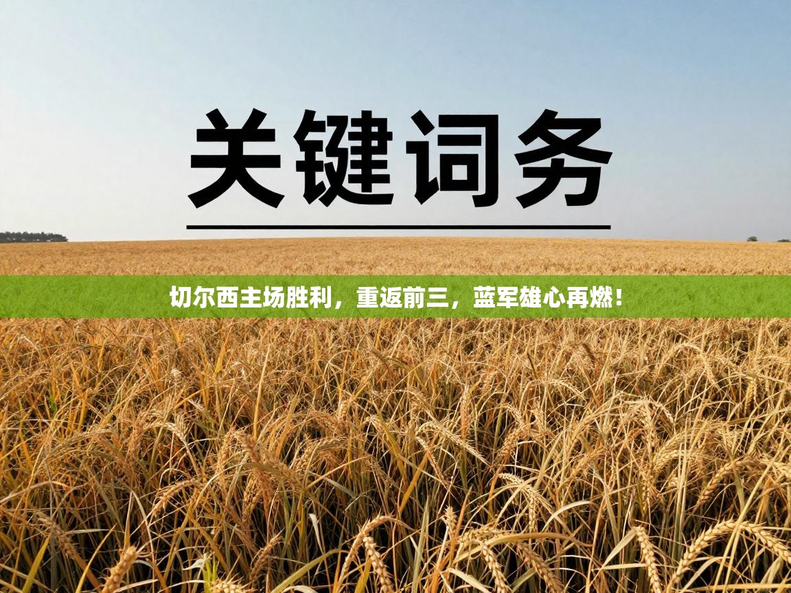 切尔西主场胜利，重返前三，蓝军雄心再燃！  第2张