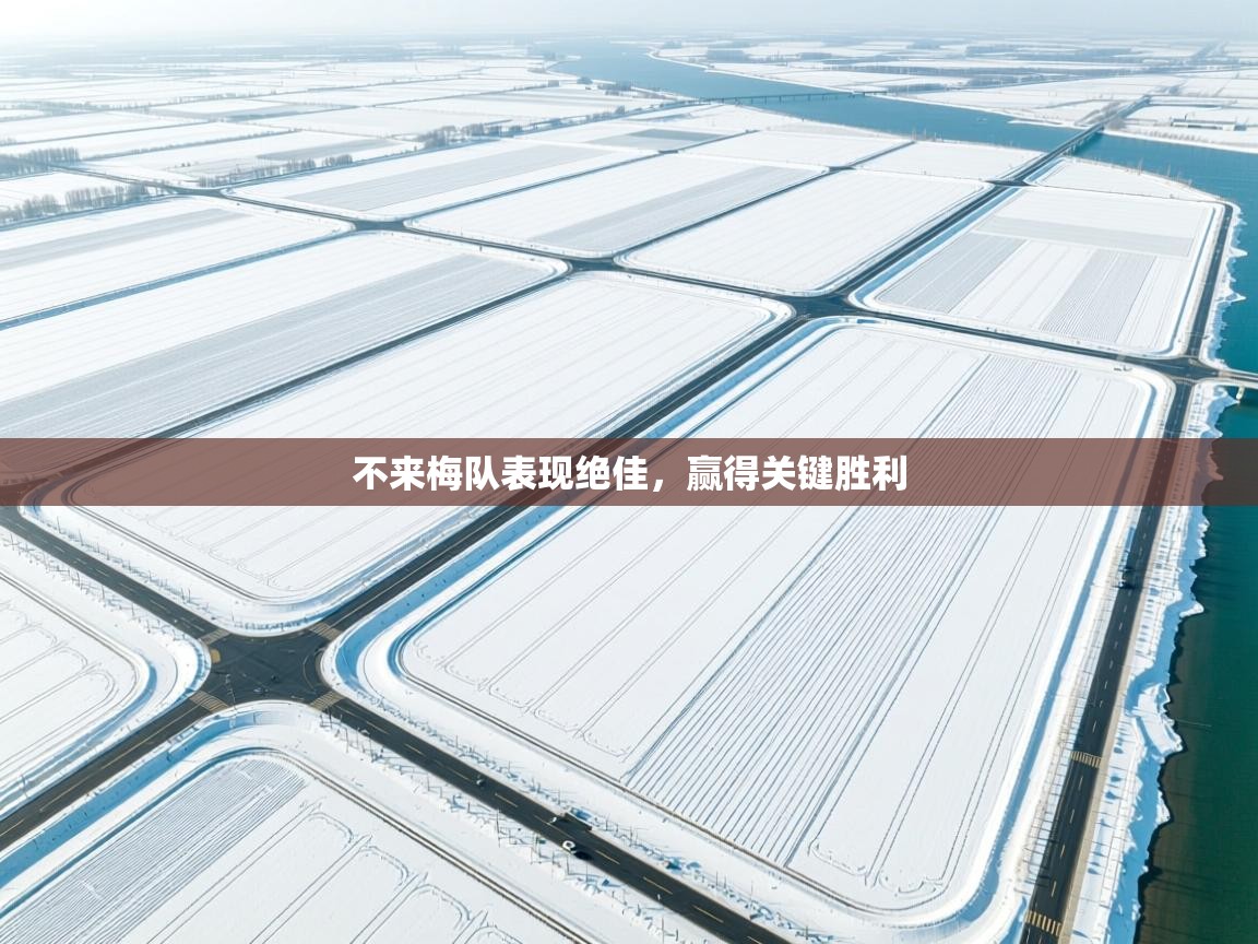 不来梅队表现绝佳，赢得关键胜利  第1张