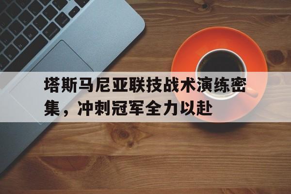爱游戏在线登录-关于塔斯马尼亚联技战术演练密集，冲刺冠军全力以赴的信息