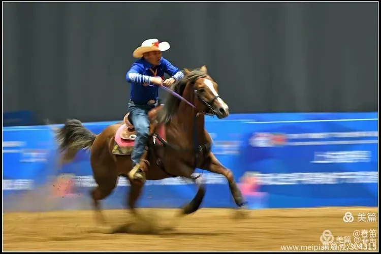 捷克代表团在马术赛事中获得好成绩 捷克代表团在马术赛事中获得好成绩